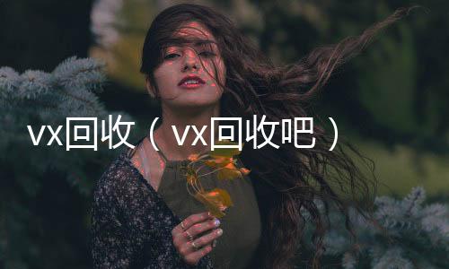 vx回收回收微信秒结（vx回收吧）